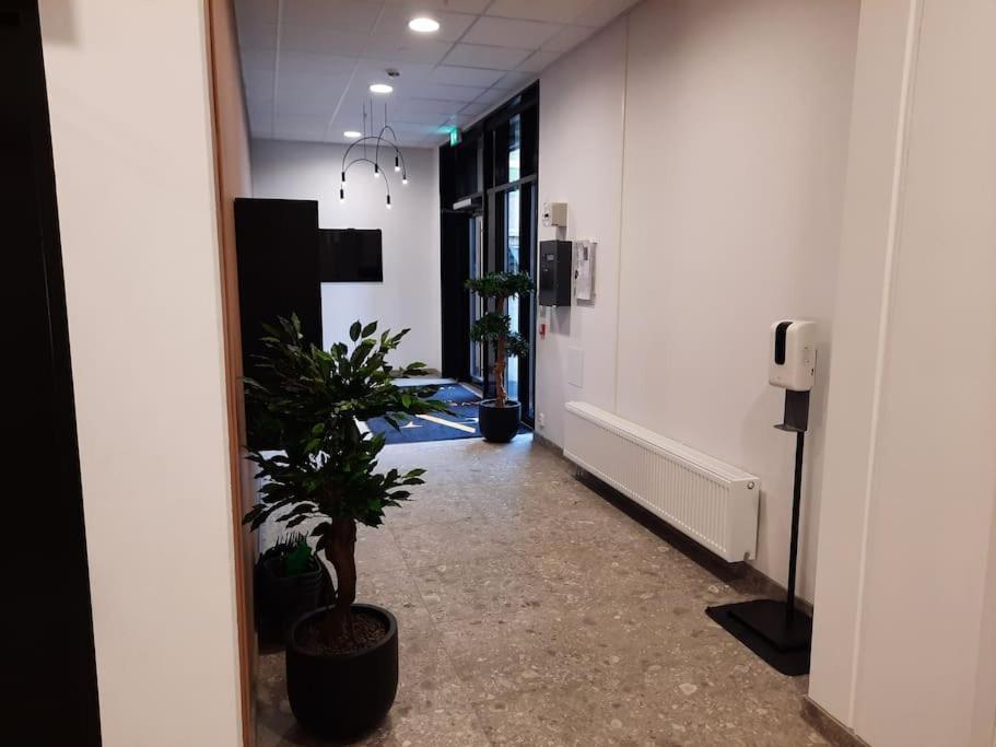 Appartement In Center